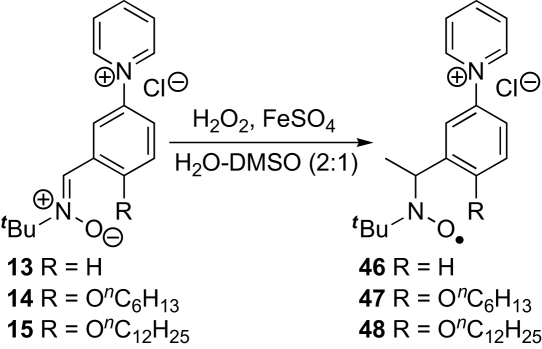 Scheme 8