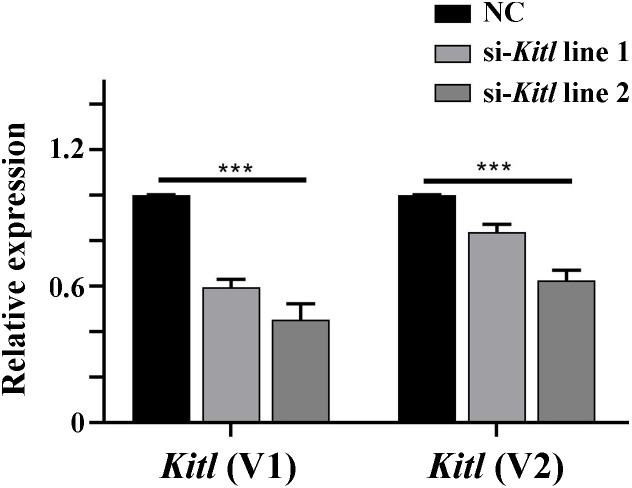 Figure 7—figure supplement 1.