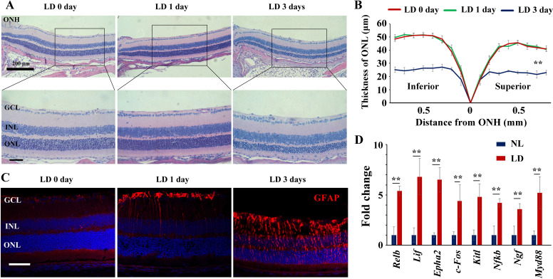 Figure 1—figure supplement 1.