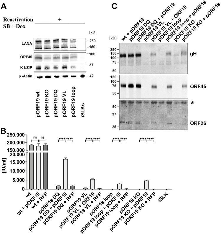 Fig 6