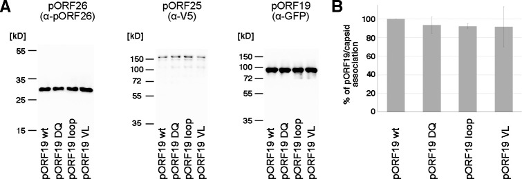 Fig 5