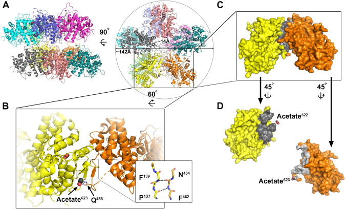 Fig 2