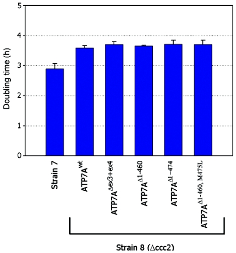 Figure  10. 