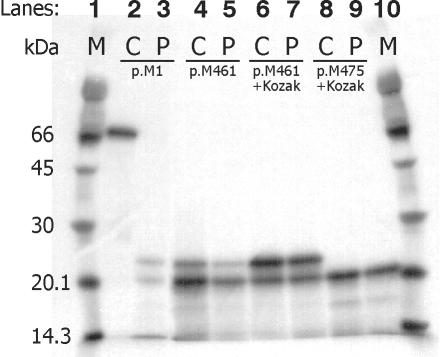 Figure  3. 