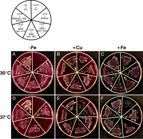 Figure  9. 