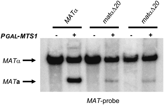 Figure 3.