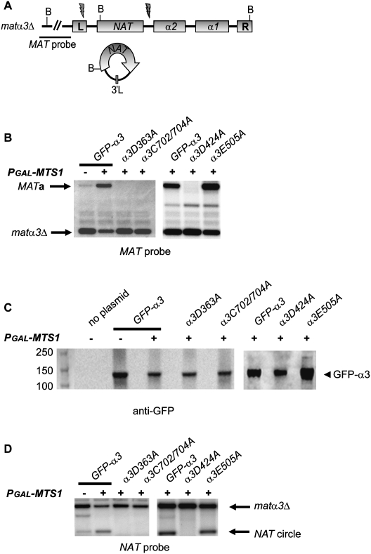 Figure 6.