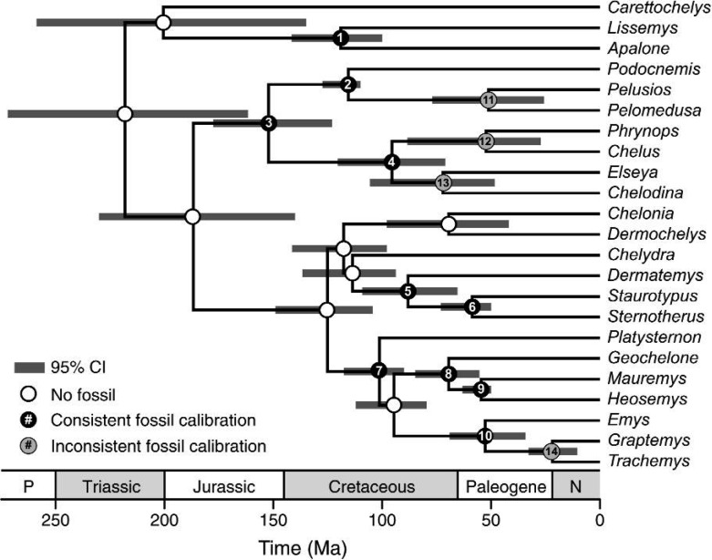 Figure 10.