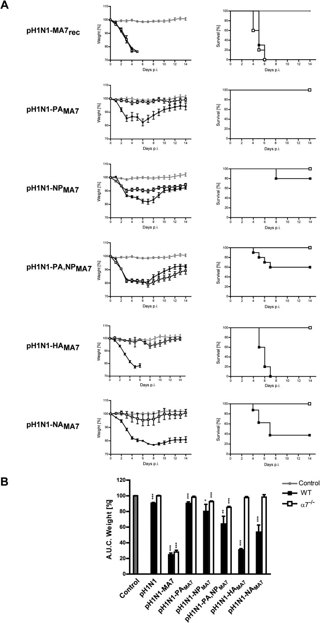 FIG 2