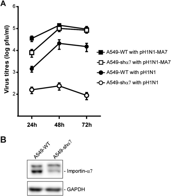 FIG 6