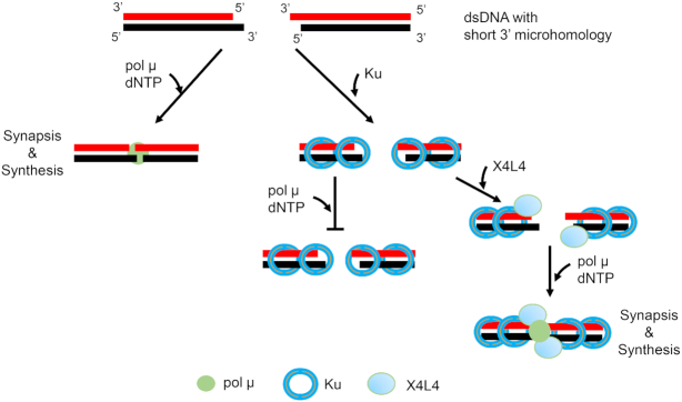 Figure 7.