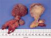 Fig. 3