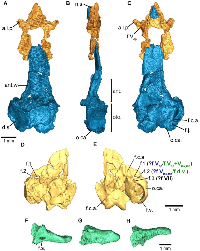 Figure 2