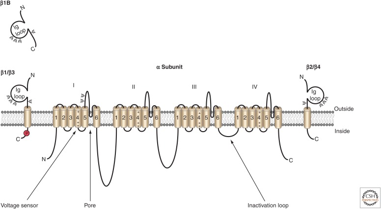 Figure 1.