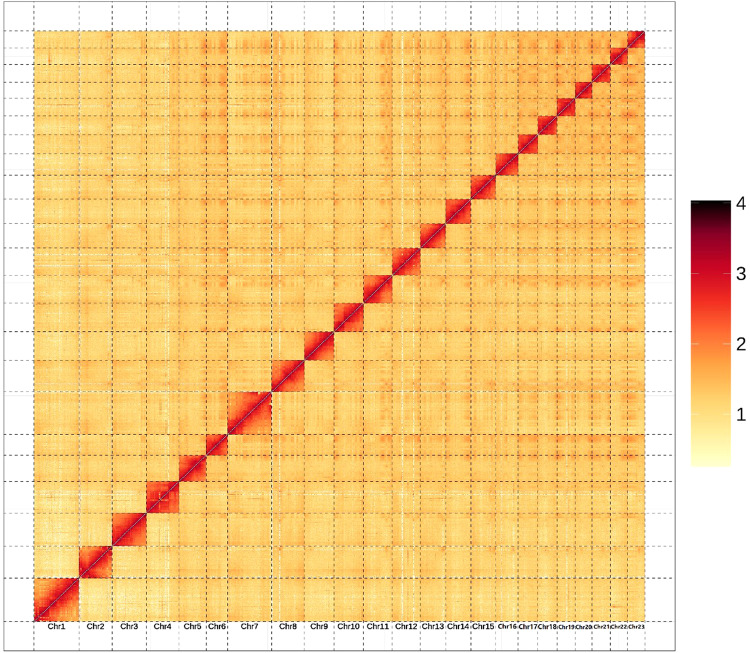 Fig. 2