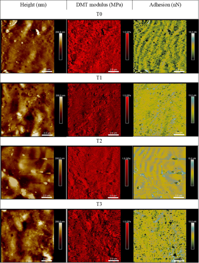 Fig. 3