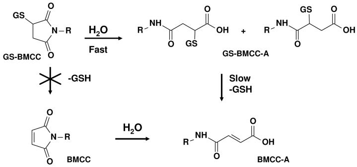 Scheme 2