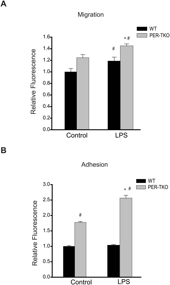 Fig 8