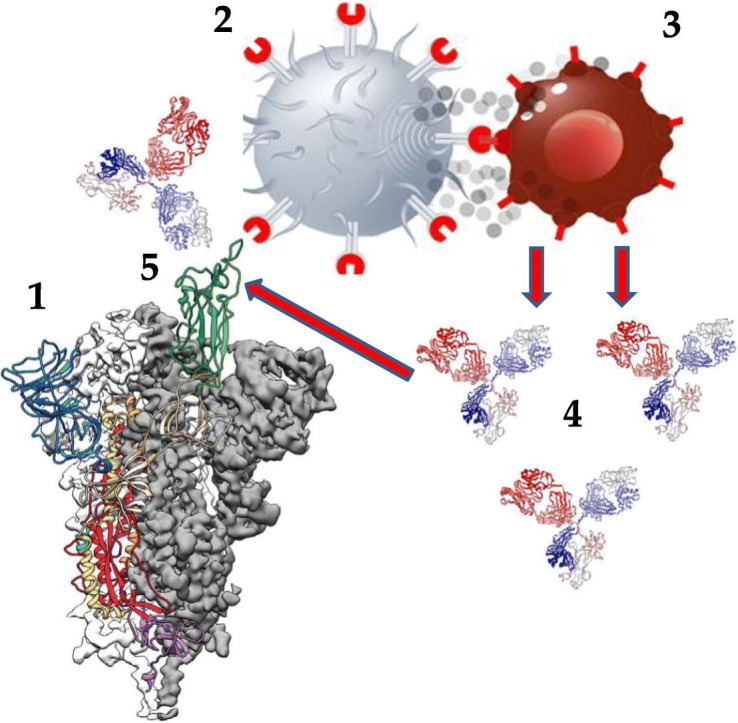 Unlabelled Image