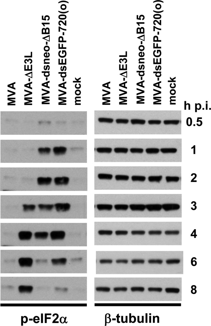 FIG 5