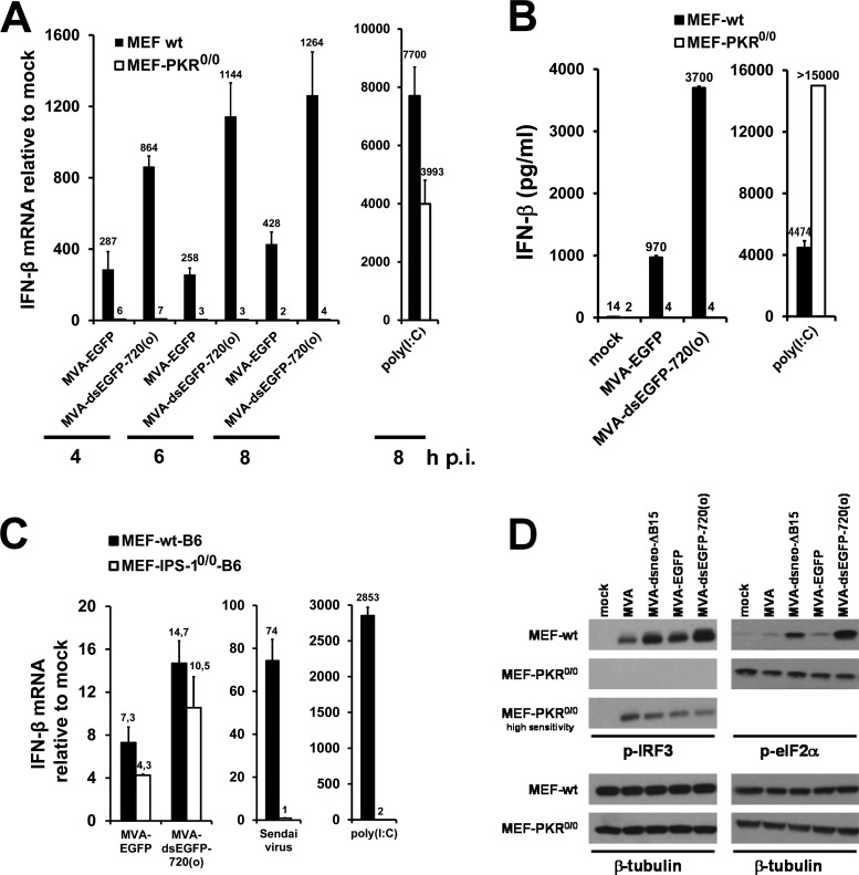 FIG 6