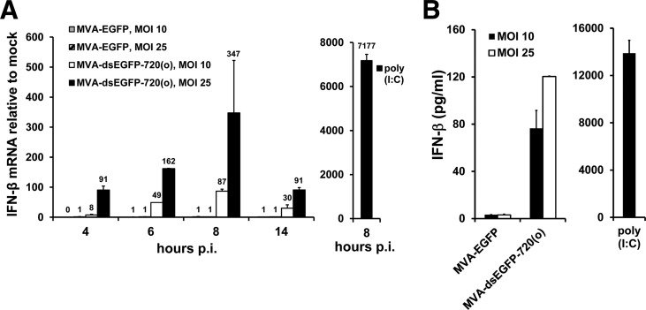 FIG 4