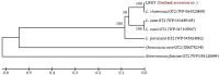 Supplementary Fig. S1