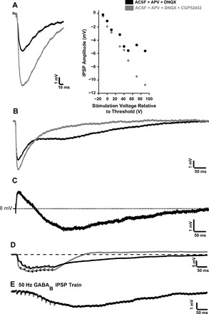 Fig. 9.