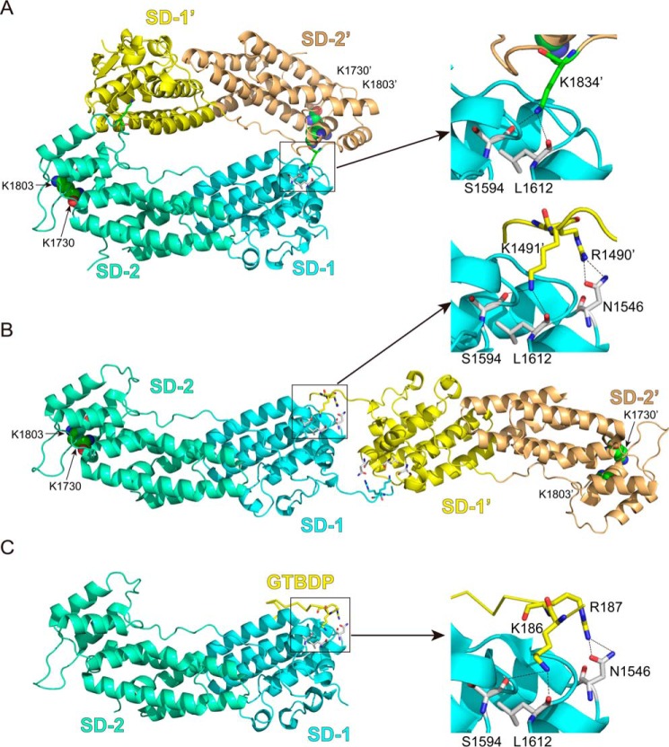 FIGURE 1.