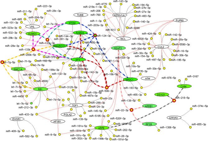 Figure 11