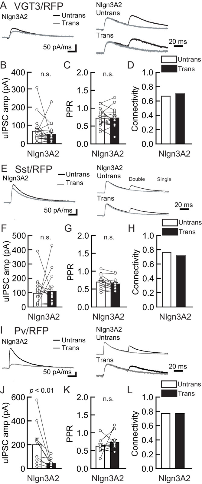 Figure 3—figure supplement 1.