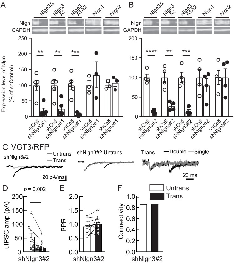 Figure 4—figure supplement 1.