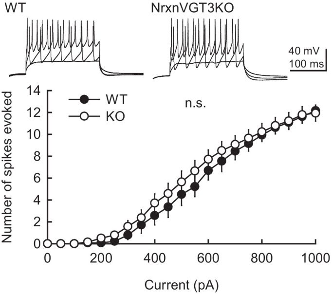 Figure 5—figure supplement 1.