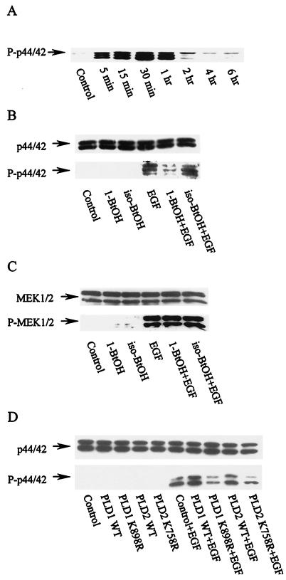 FIG. 8