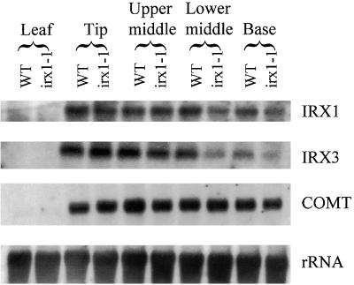 Figure 5.