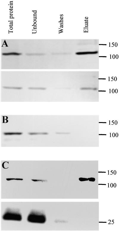 Figure 9.