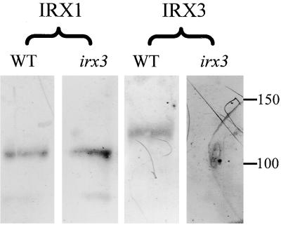 Figure 7.