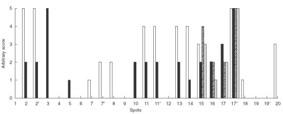 Fig. 4