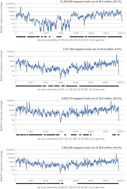 FIG 2 