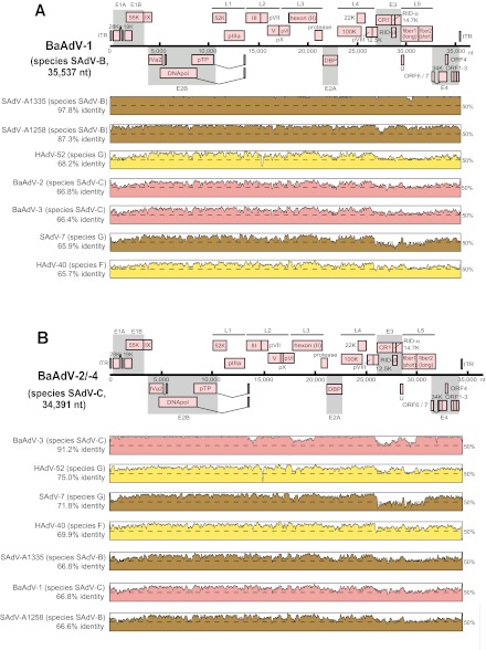 FIG 3 