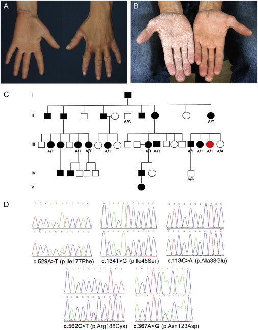 Figure 1