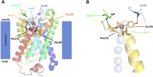 Figure 3