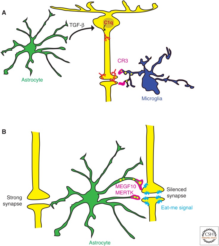 Figure 4.