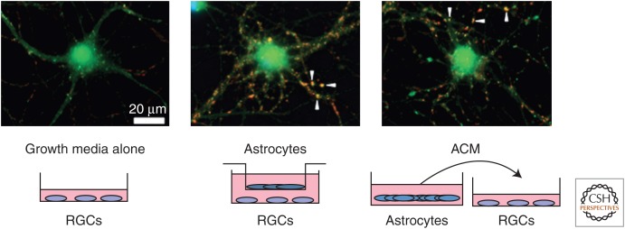 Figure 2.