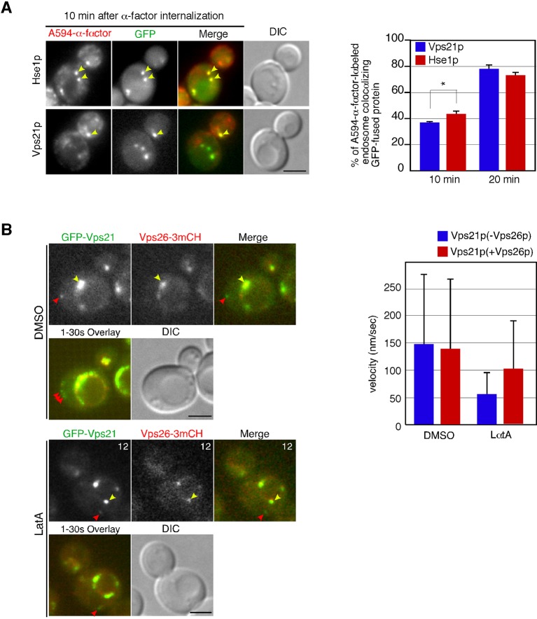 Figure 3—figure supplement 2.