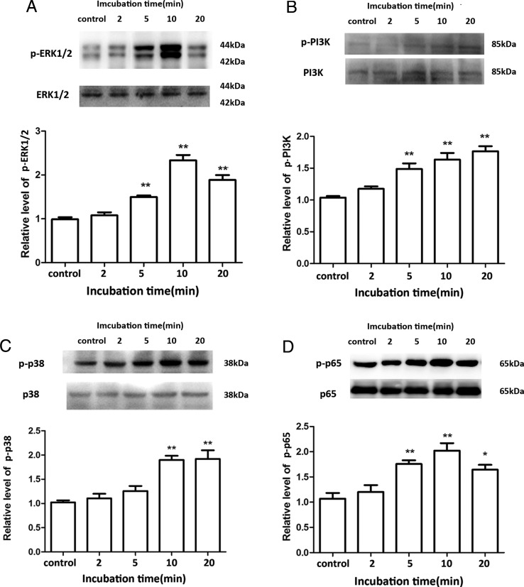 Figure 4