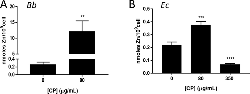 Fig. 8