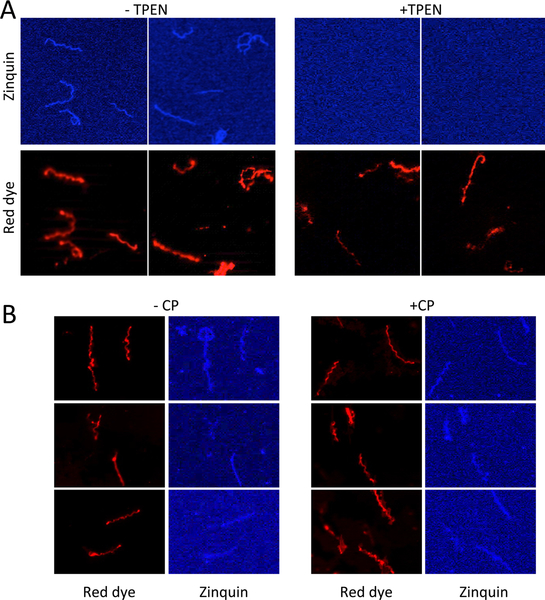 Fig. 10