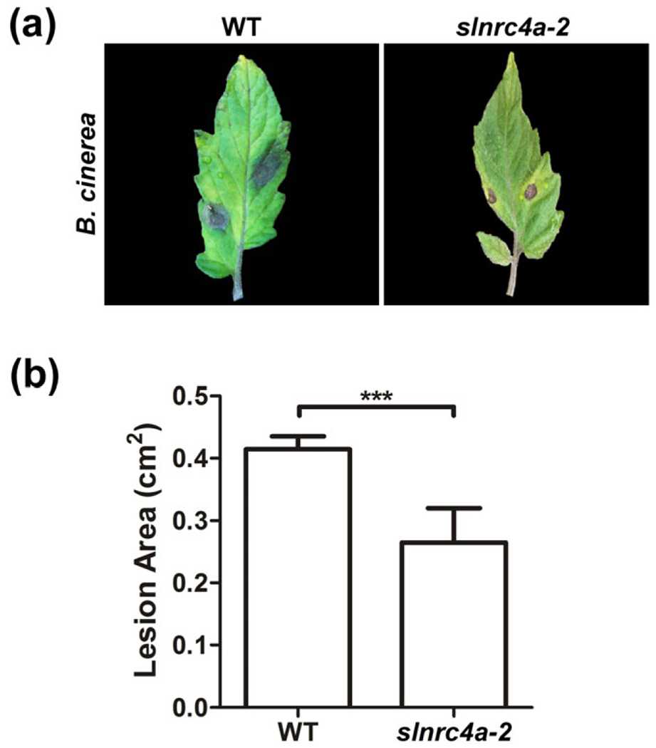 FIGURE 9