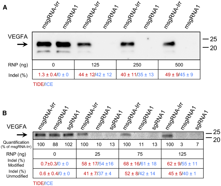 Figure 6